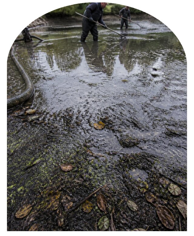 Очистка пруда в Гагарине от ила мусора и водорослей с вывозом